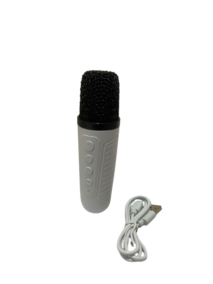 Mini Parlante Con Karaoke  KM-V33 FX