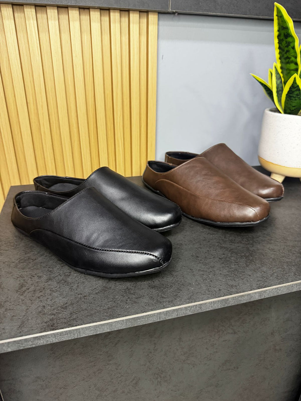 MOCASIN SUECO PREMIUM + CAJA