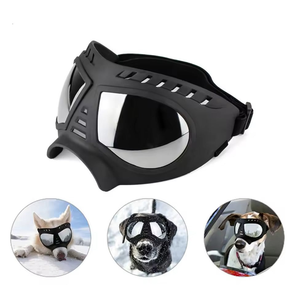 Gafa mascota + estuche